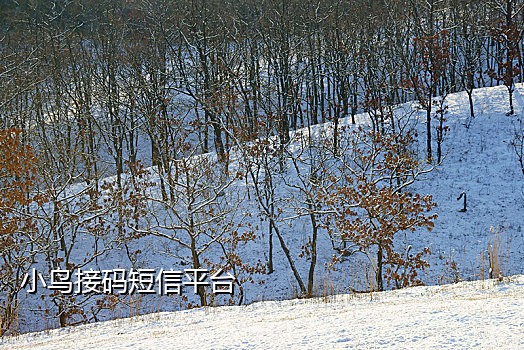 手机接不到短信验证码