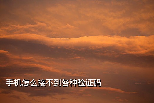 手机接不到短信息验证码