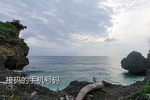 手机版卡商接码软件下载