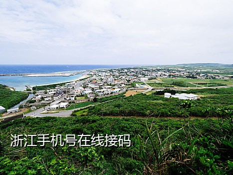 盛通短信接码平台