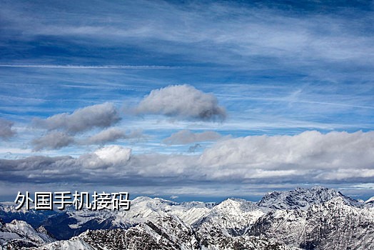 神话接码平台 饿了么