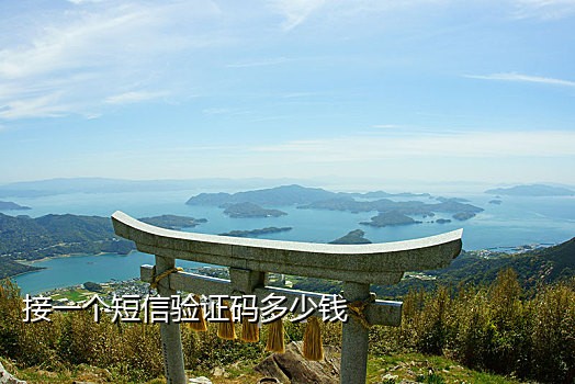 社保认证接不到短信确认码