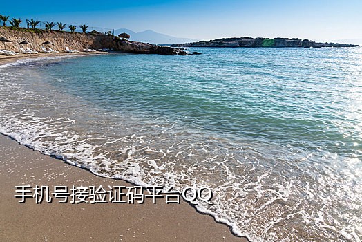 全新1型美国apl接码手机号码