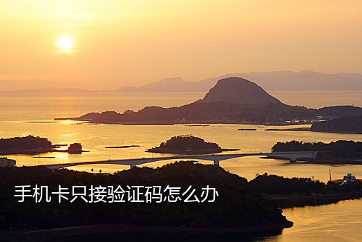 全球接码手机版