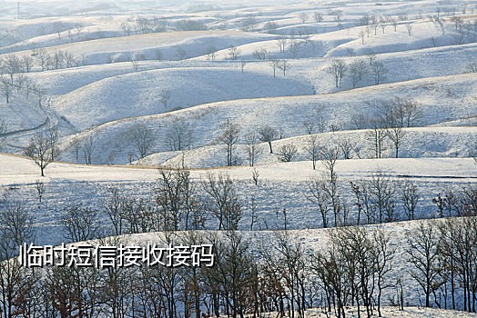苹果试玩接码平台有哪些