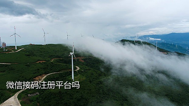 哪个接码平台可以接微博