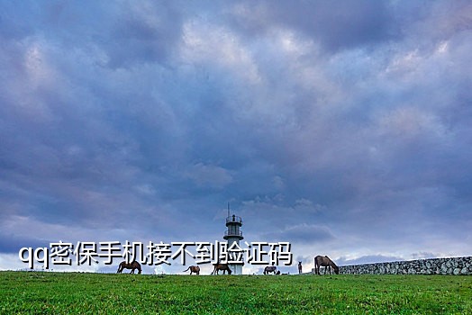 哪儿有接码注册抖音