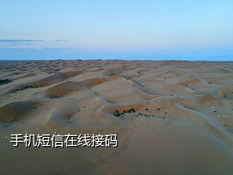 联通在线接码短信平台