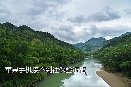 快手号手机接不了验证码