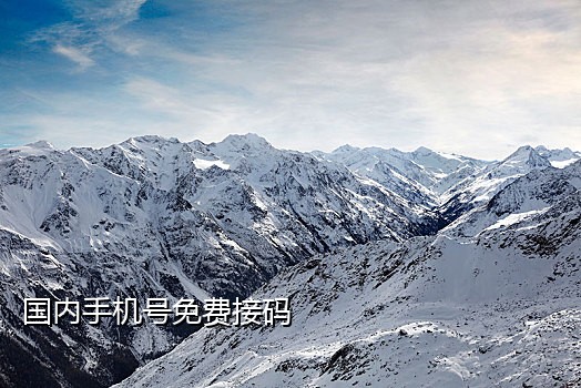 快手号接码验证码接收平台app