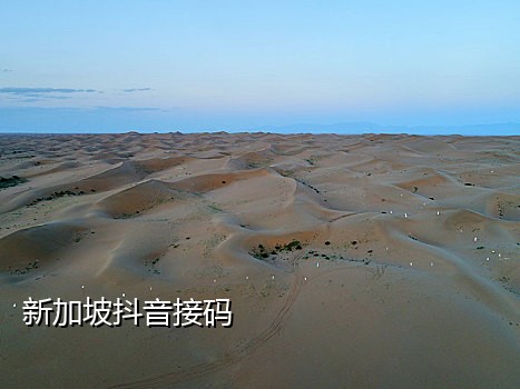 快手号换绑手机号接码