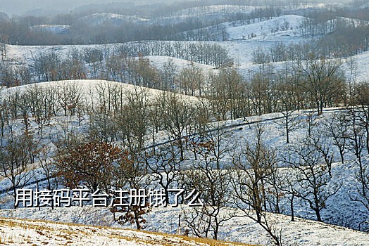 接验证码短信平台会收到吗