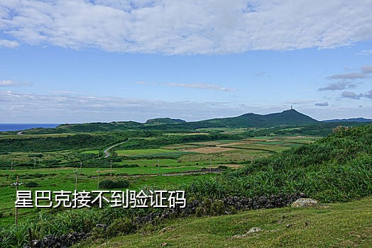 接码平台可以收短信吗