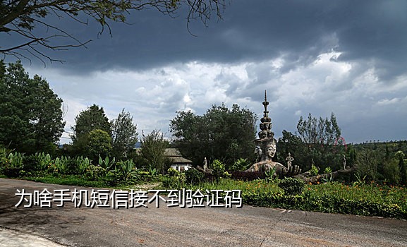 接码短信平台原理