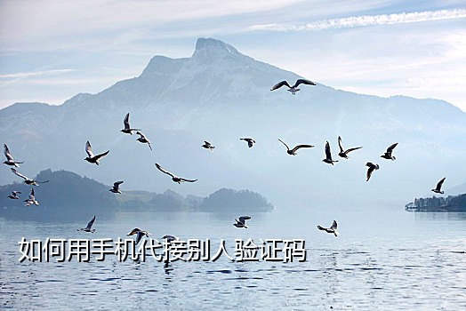 接不到短信验证码的通知