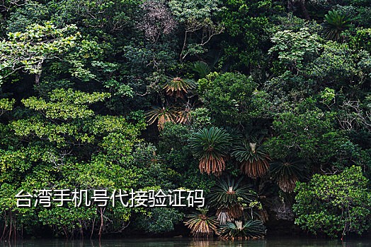 国外手机号注册接码