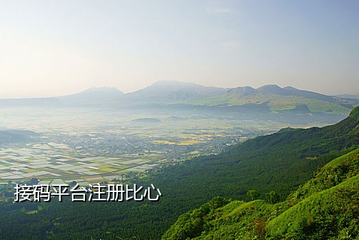 国内手机接码网站有哪些平台