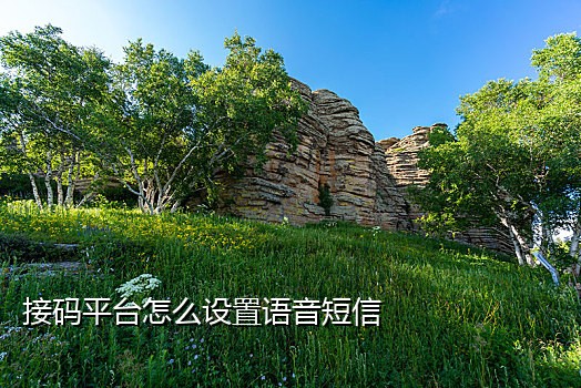 国内手机号接码网站有哪些