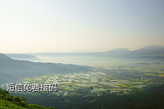 手机验证码接码任务群