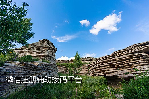 飞牛接码手机版