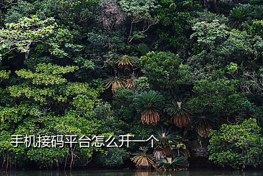 番茄短信接码平台