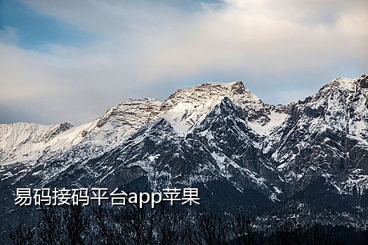 饿了么星选接码没用