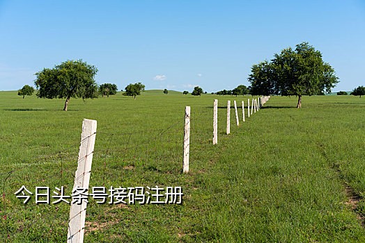 饿了么新客接码