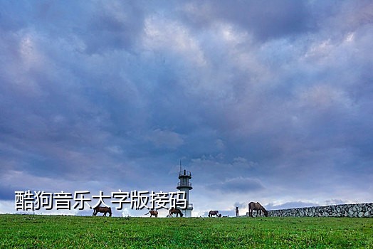 短信平台接码是真的吗
