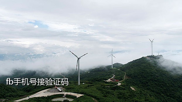短信接码验证码平台网站是什么