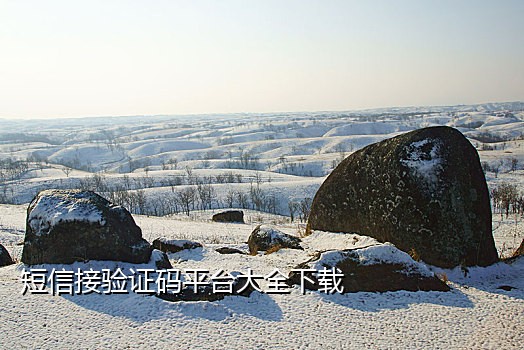 短信接码平台能注册吗安徽