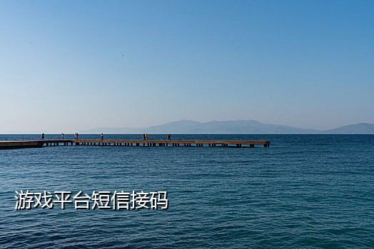 短信接码平台1元
