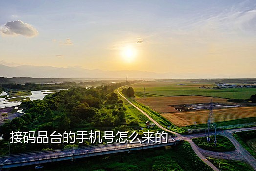 短信接码绑定斗鱼