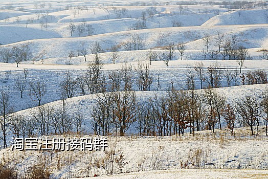 手机实名卡接码
