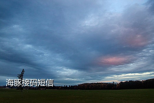 抖音二次码接码平台