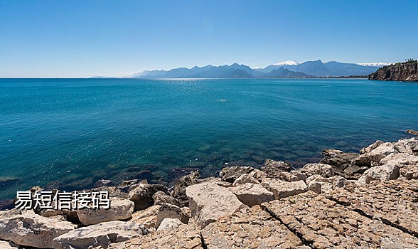 斑马接码手机app