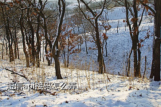 1元短信接码