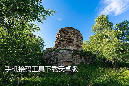 注册短信接码网站