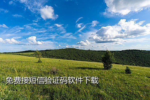 知乎2021接码平台