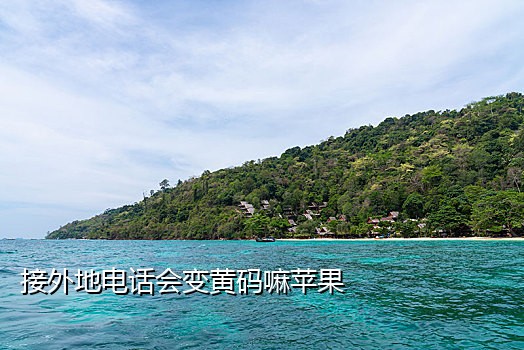 支付宝注册接码用哪个