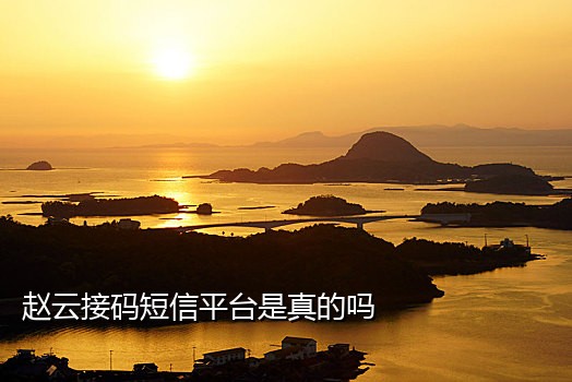 手机接码在线平台