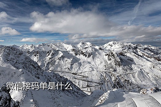 手机接码验证网页版是什么