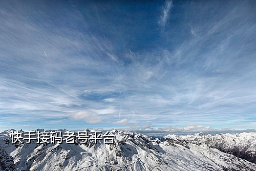 有做闲鱼的接码平台吗