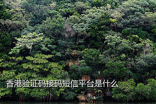 手机接码行程卡