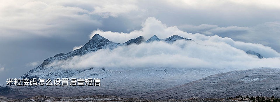 虚拟短信接码平台