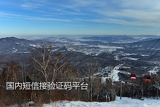 信盒接码平台苹果