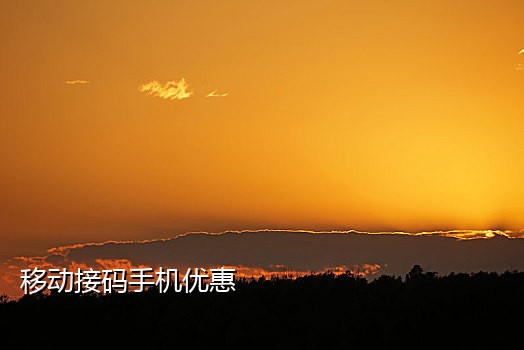 手机接码软件网站下载