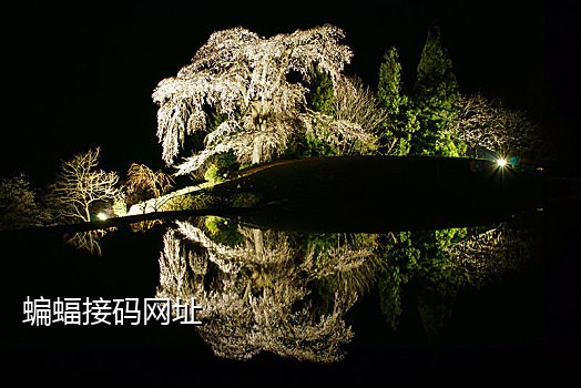 新手机接不到语音验证码