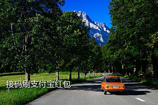闲鱼短信接码