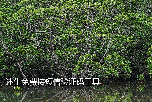 土豆短信接码平台