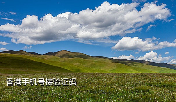 提供手机号接验证码京东plus